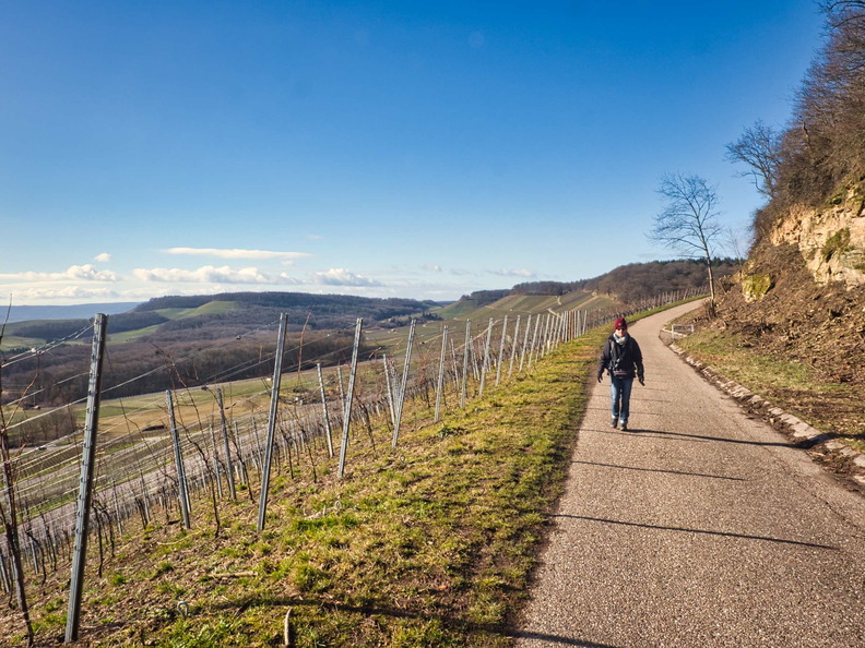 20220207142247-5f4c5254